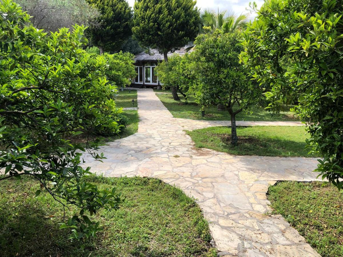 Cirali Armira Bungalow Экстерьер фото