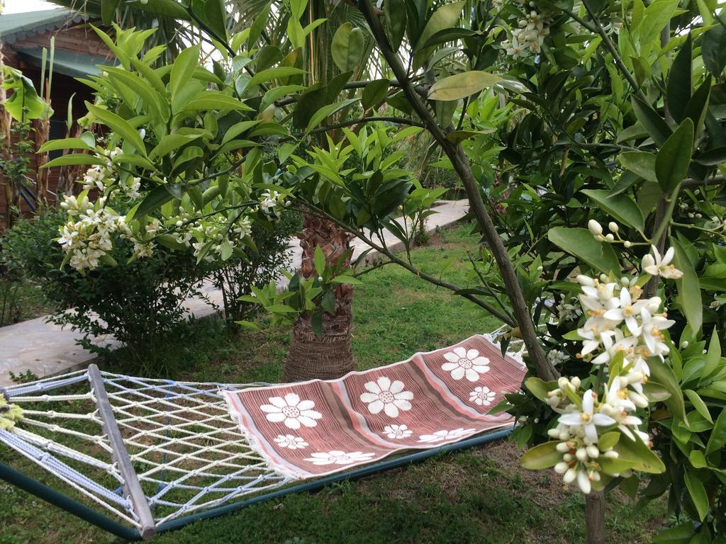 Cirali Armira Bungalow Экстерьер фото
