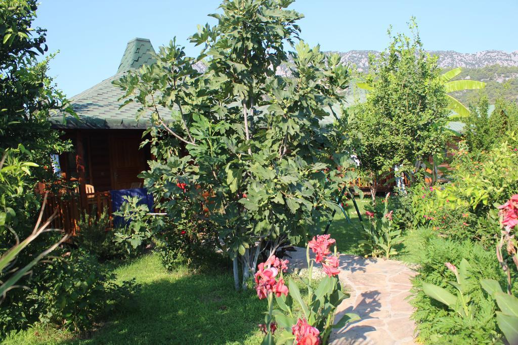 Cirali Armira Bungalow Номер фото