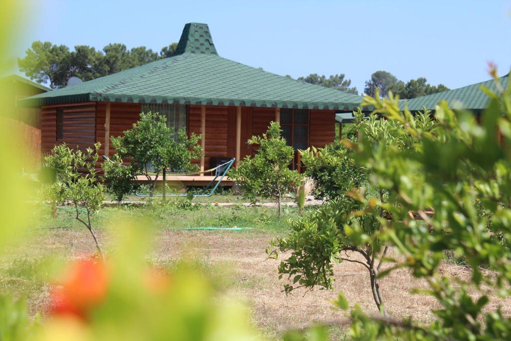 Cirali Armira Bungalow Номер фото