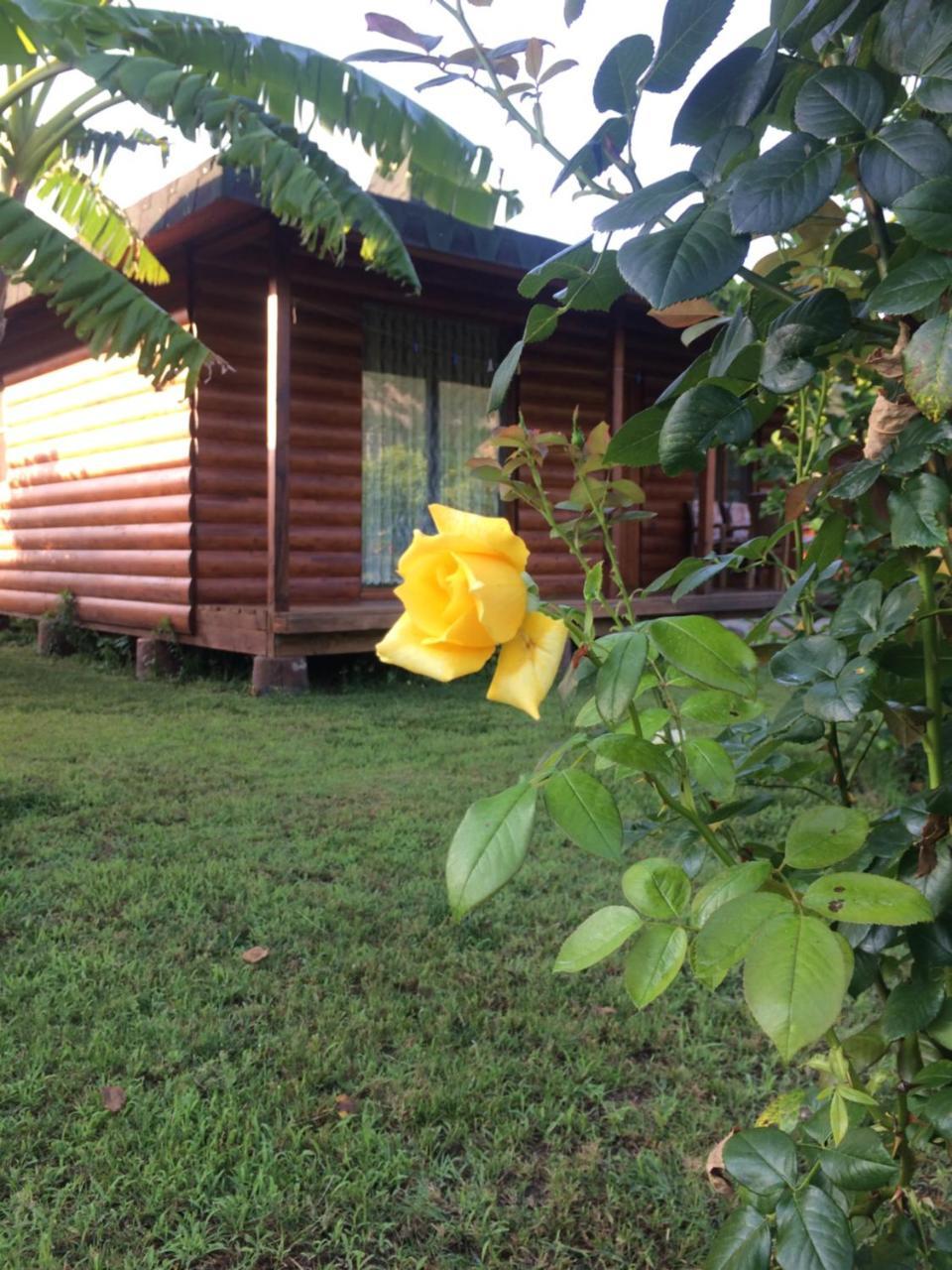 Cirali Armira Bungalow Экстерьер фото