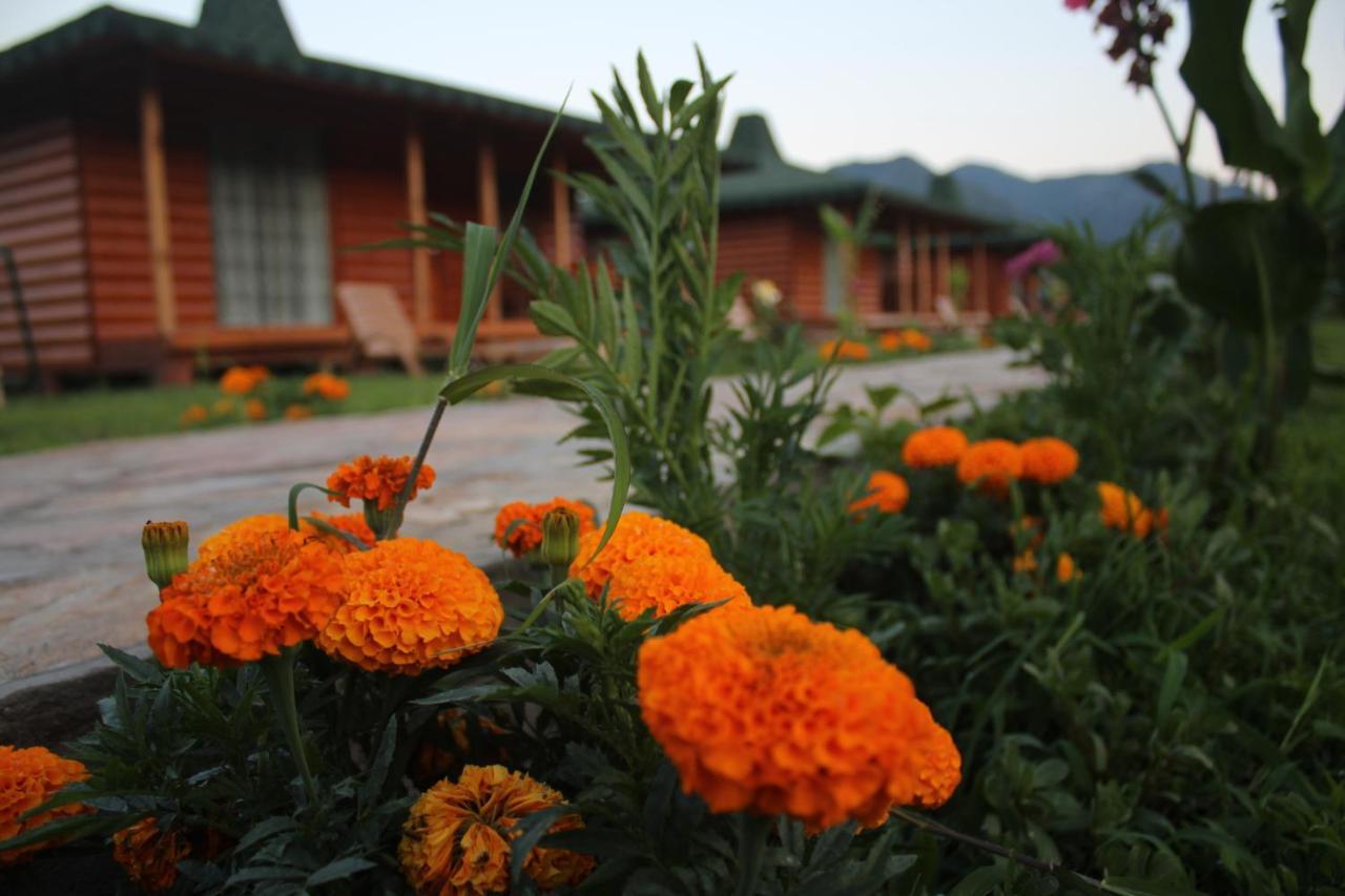 Cirali Armira Bungalow Номер фото